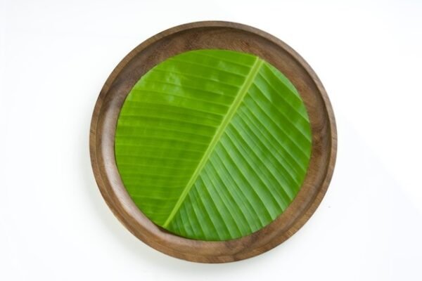 BANANA LEAF ROUND (Musa x paradisiaca)