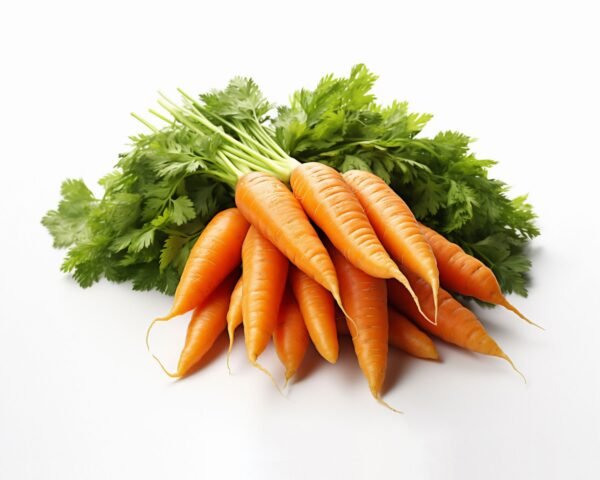 CARROT (Daucus carota)