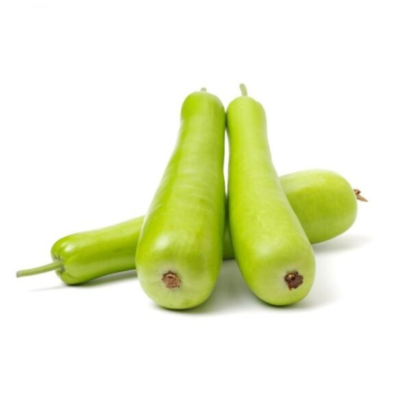 DOODHI (Lagenaria siceraria)