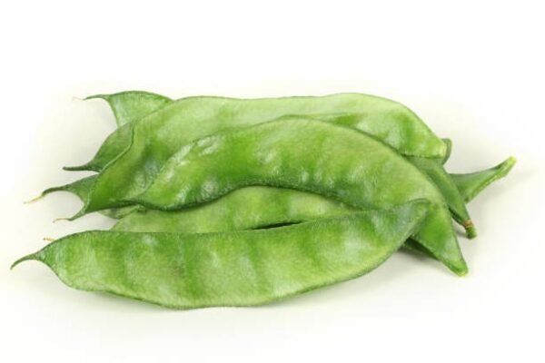 CULCUTA PAPDI (Dolichos lablab)
