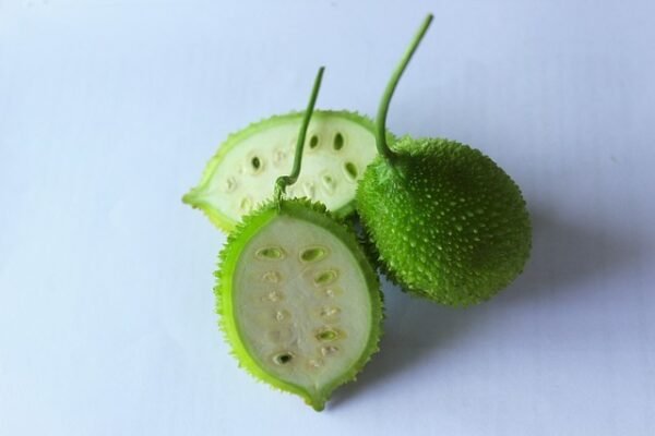KANTOLA