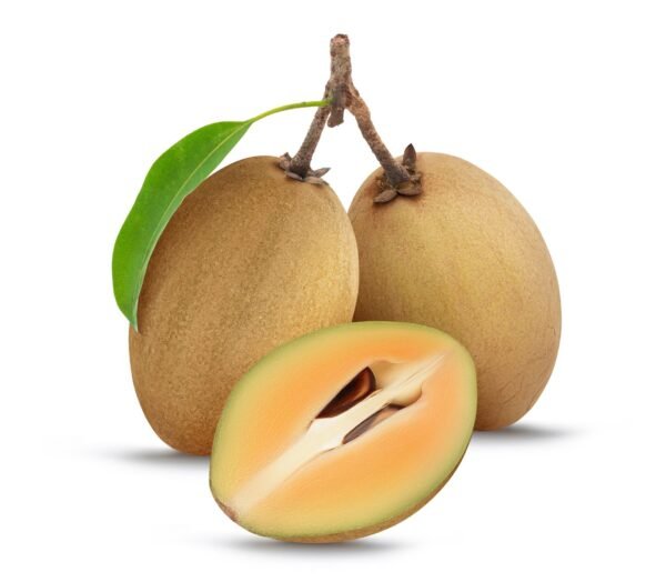 Chikoo (Manilkara Zapota)