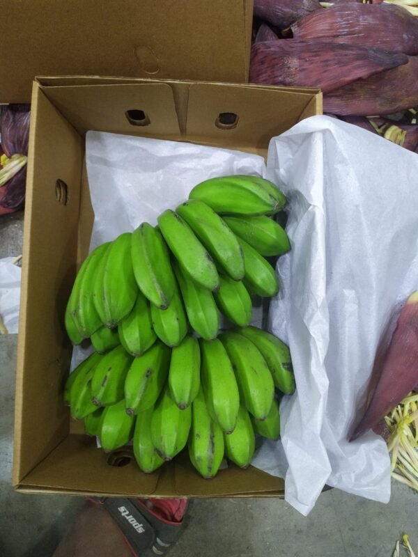 RAW  BANANA (Musa X Paradisiaca) - Image 2